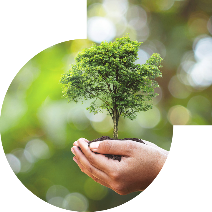 關懷人類、文化、環境與社會